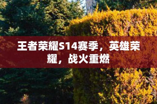 王者荣耀S14赛季图片