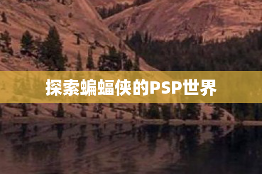 探索蝙蝠侠的PSP世界图片
