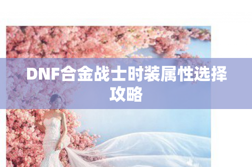 DNF合金战士时装属性选择攻略图片