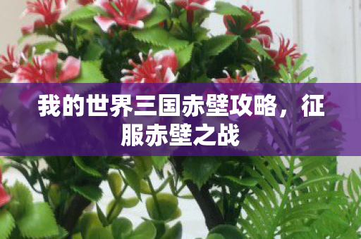 我的世界三国赤壁攻略图片