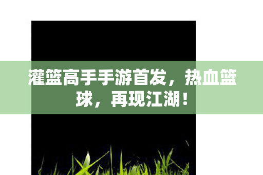 灌篮高手手游首发图片