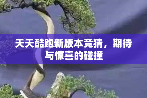 天天酷跑新版本竞猜图片
