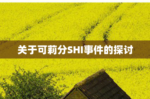 关于可莉分SHI事件的探讨图片