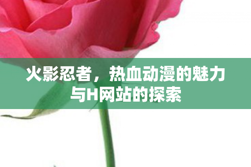 热血动漫的魅力与H网站的探索图片
