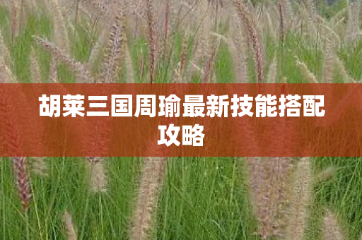 胡莱三国周瑜最新技能搭配攻略图片