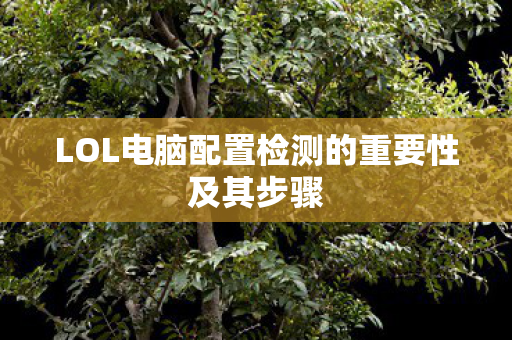 LOL电脑配置检测的重要性及其步骤图片