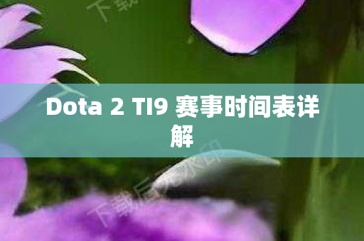 Dota 2 TI9 赛事时间表详解图片