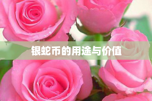 银蛇币的用途与价值图片