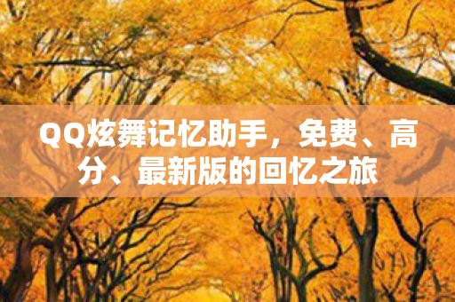 QQ炫舞记忆助手图片