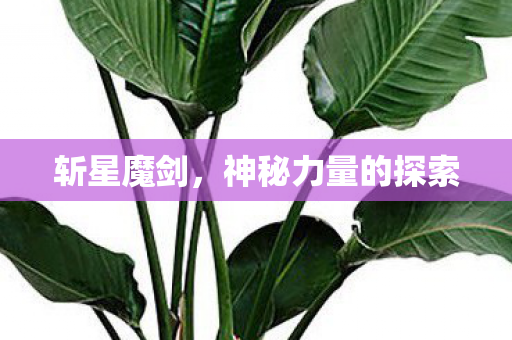 神秘力量的探索图片