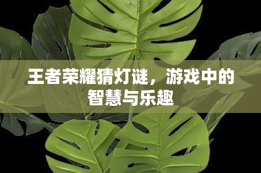 游戏中的智慧与乐趣图片