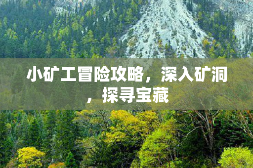 小矿工冒险攻略图片