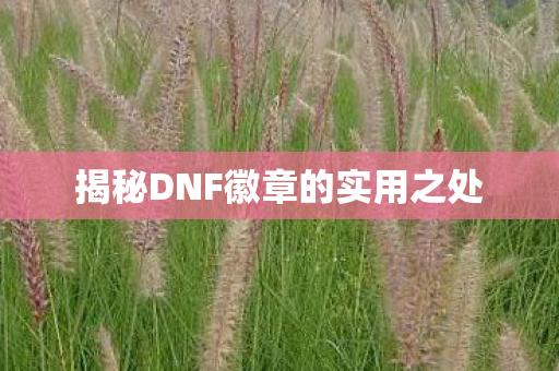 揭秘DNF徽章的实用之处图片