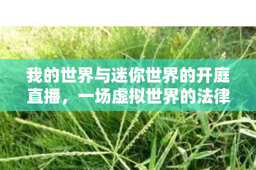 我的世界与迷你世界的开庭直播图片