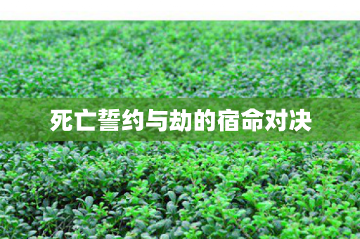 死亡誓约与劫的宿命对决图片
