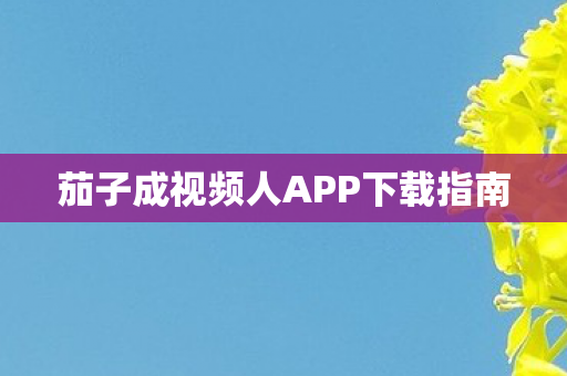 茄子成视频人APP下载指南图片