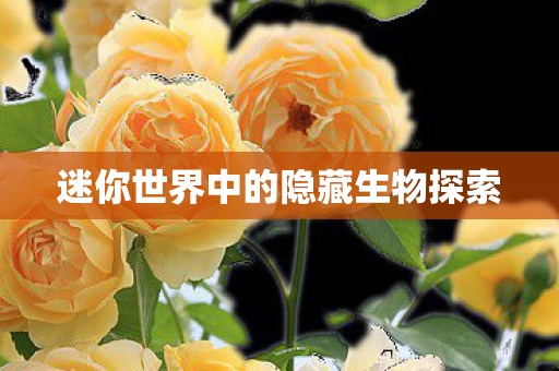 迷你世界中的隐藏生物探索图片