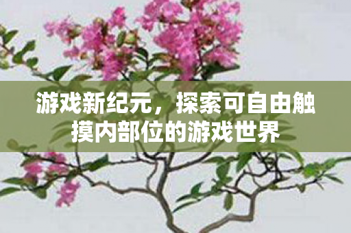 探索可自由触摸内部位的游戏世界图片