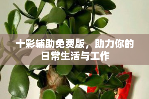 助力你的日常生活与工作图片