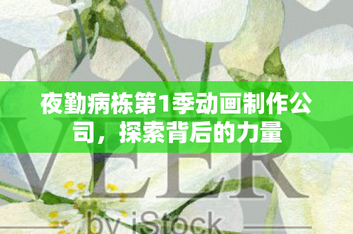 夜勤病栋第1季动画制作公司图片