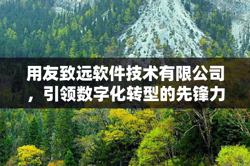 用友致远软件技术有限公司图片