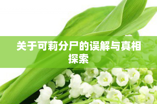 关于可莉分尸的误解与真相探索图片