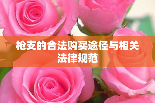 枪支的合法购买途径与相关法律规范图片