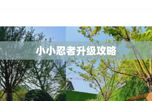 小小忍者升级攻略图片