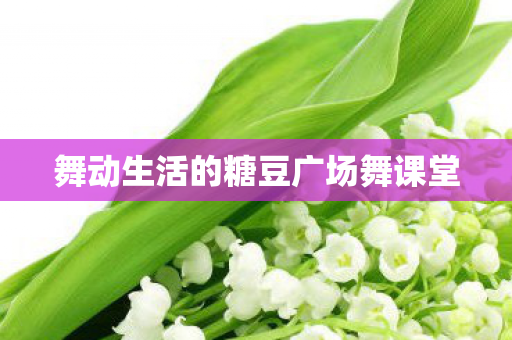 舞动生活的糖豆广场舞课堂图片