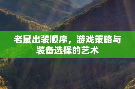游戏策略与装备选择的艺术图片