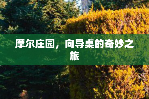 向导桌的奇妙之旅图片