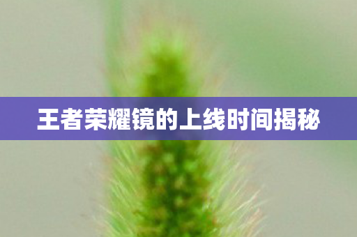 王者荣耀镜的上线时间揭秘图片
