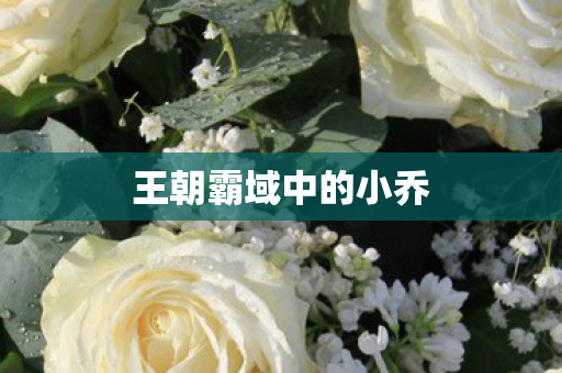 王朝霸域中的小乔图片