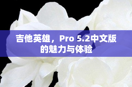 2中文版的魅力与体验图片