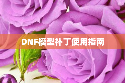 DNF模型补丁使用指南图片