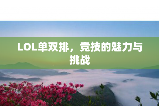 竞技的魅力与挑战图片