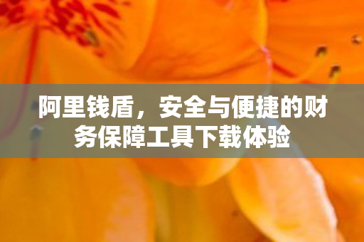 安全与便捷的财务保障工具下载体验图片