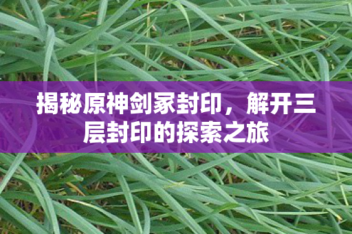 解开三层封印的探索之旅图片