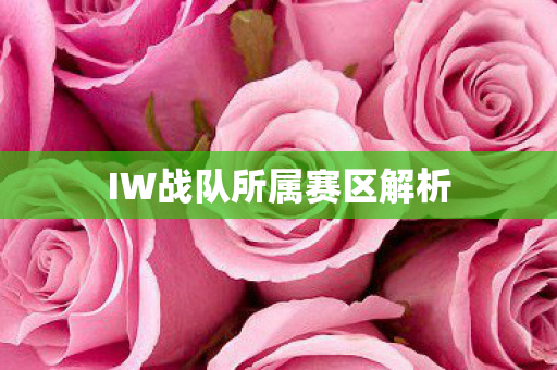 IW战队所属赛区解析图片
