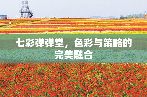 色彩与策略的完美融合图片