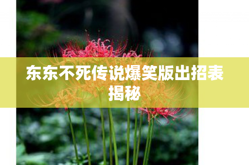 东东不死传说爆笑版出招表揭秘图片