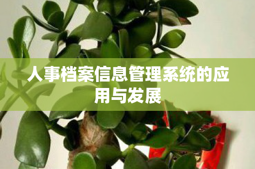 人事档案信息管理系统的应用与发展图片