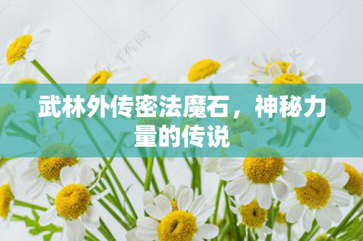 武林外传密法魔石图片