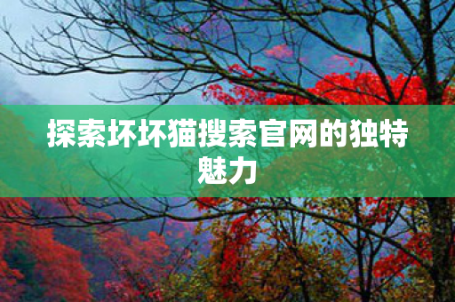探索坏坏猫搜索官网的独特魅力图片
