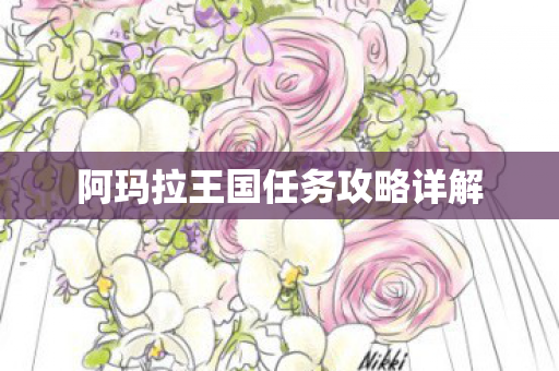 阿玛拉王国任务攻略详解图片