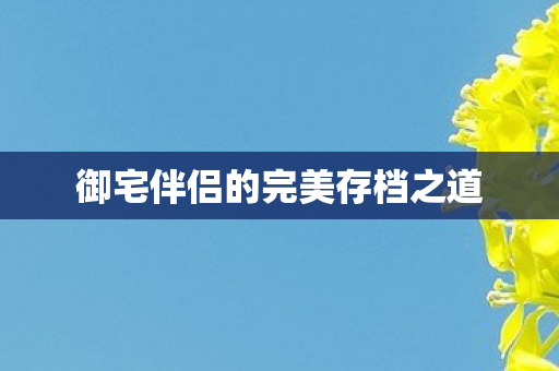 御宅伴侣的完美存档之道图片