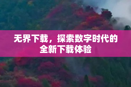 探索数字时代的全新下载体验图片