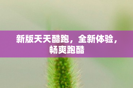 新版天天酷跑图片