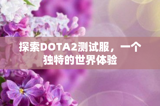 探索DOTA2测试服图片