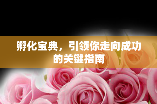 引领你走向成功的关键指南图片